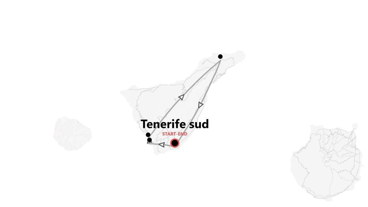 Una mappa minimalista che mostra l'itinerario di viaggio per 'Tenerife Sud', con un percorso segnato da linee, frecce e un punto di inizio/fine.