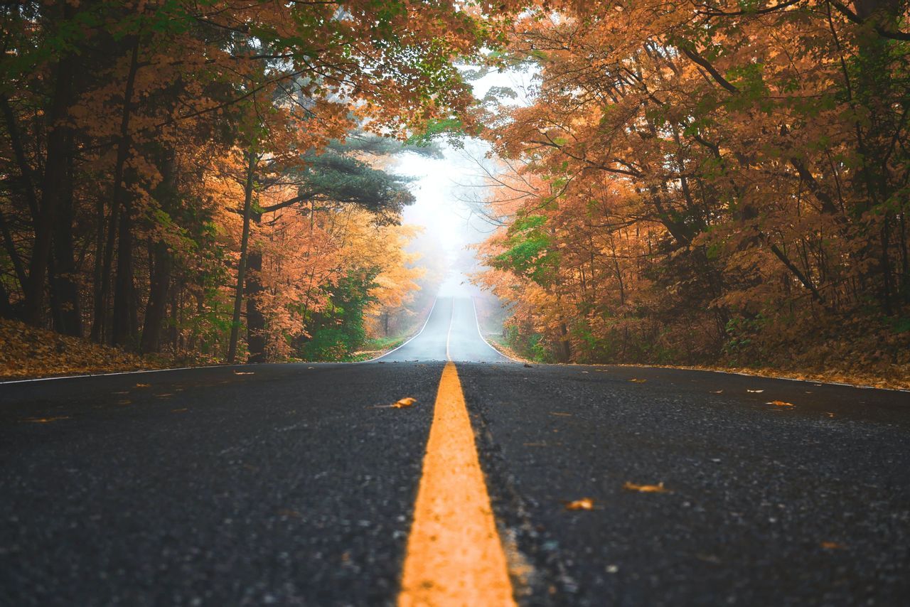 road-fall-1.jpg