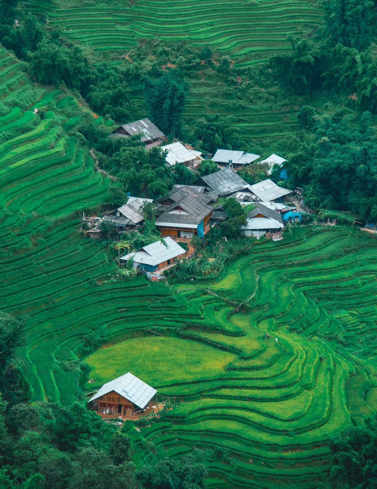 vietnam-rice-fields-travel.jpeg