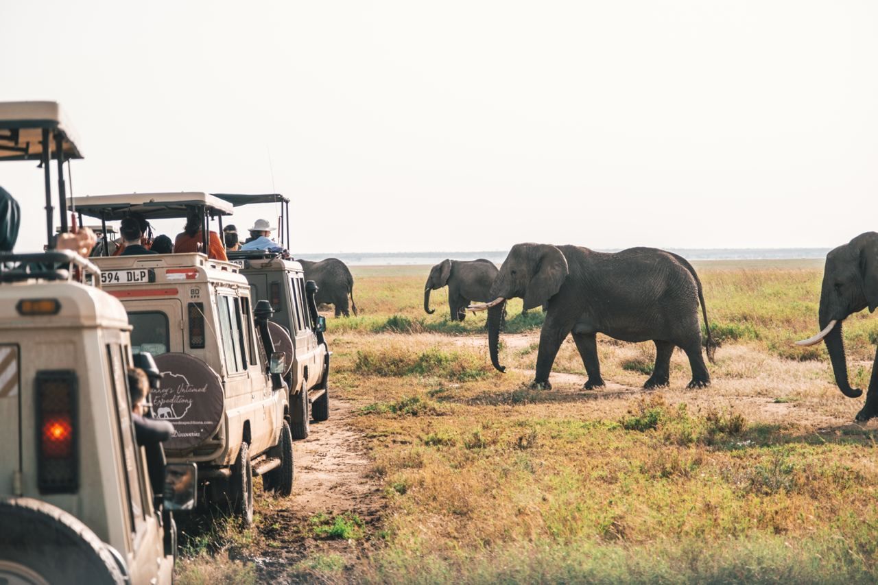 safari-group-travel-elephants-africa-weroad.jpeg