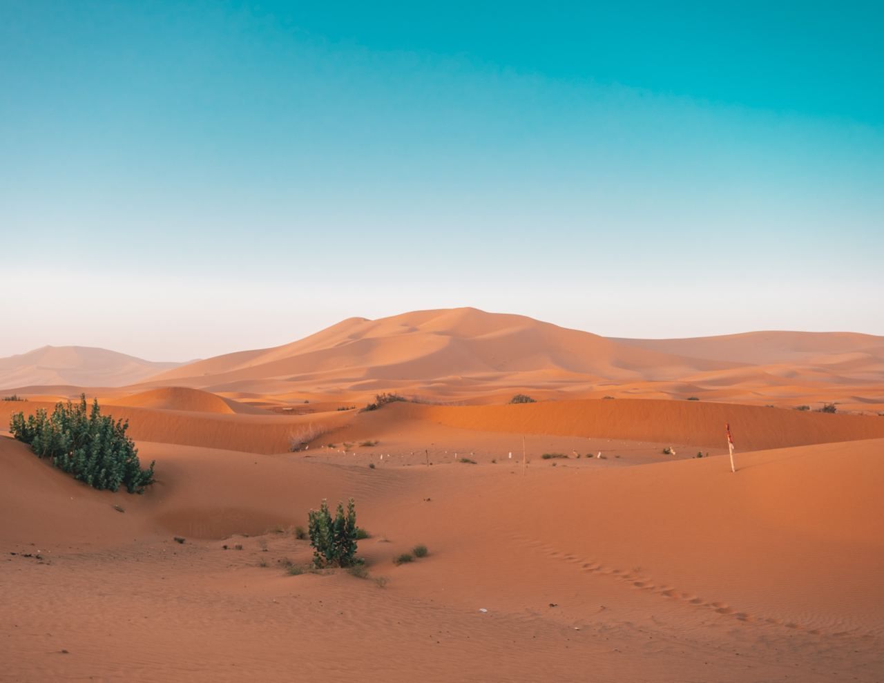desert-sahara-morocco-travel-trip.jpeg