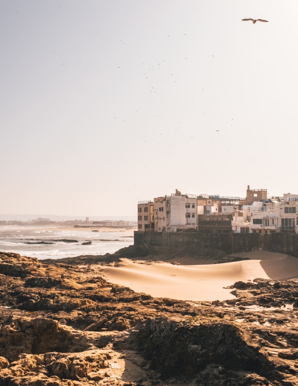 essaouria-city-discovery-culture-morocco-travel.jpeg