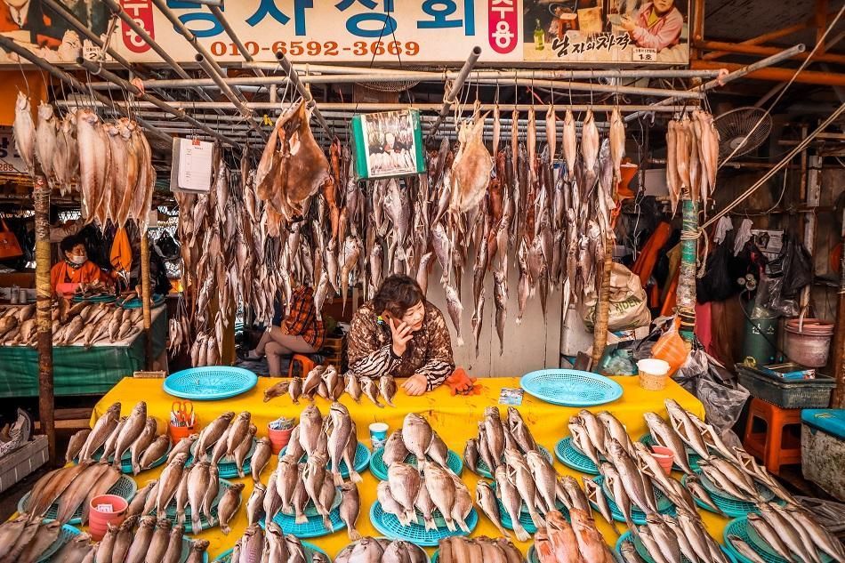Jagalchi-Fish-Market-Busan-12.jpg