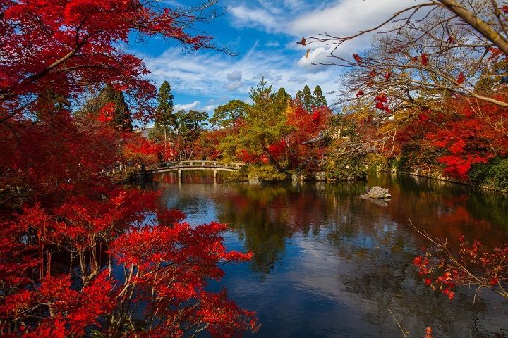giappone-foliage.jpg