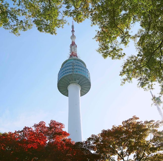 Una torre di comunicazione alta e bianca con una piattaforma panoramica si erge contro un cielo azzurro limpido, incorniciata da alberi con foglie autunnali verdi e rosse.