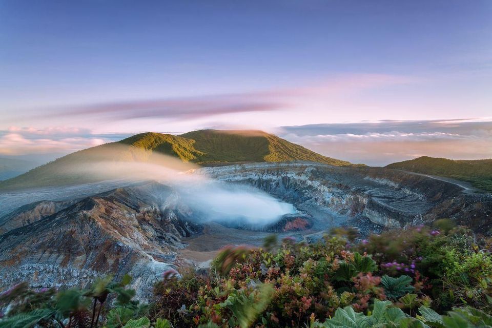 Steam rises from a volcanic crater nestled in a mountainous landscape, with colorful plants in the foreground.