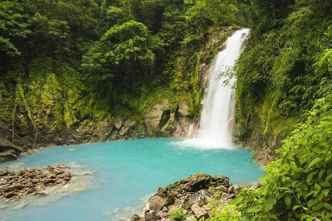 A waterfall cascades down a moss-covered cliff into a vibrant turquoise pool surrounded by dense, green jungle foliage.