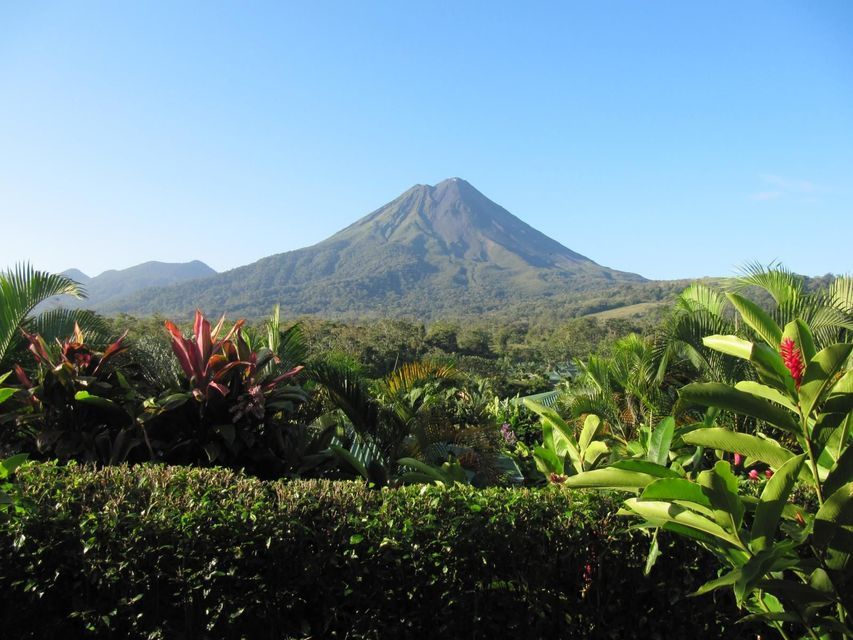 A large volcano with green, forested slopes seen from behind a lush tropical garden under a clear blue sky.