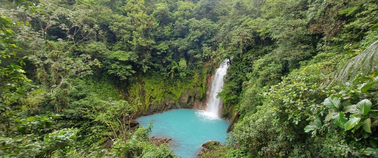 A waterfall cascades into a bright blue pool, surrounded by the lush green foliage of a dense jungle.
