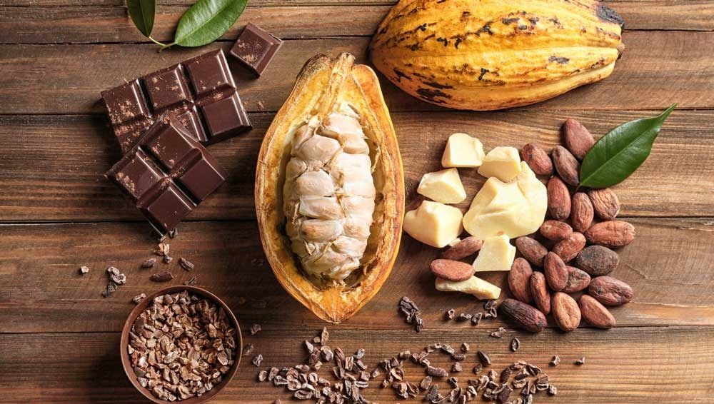 An arrangement of cacao pods, beans, cocoa butter, and a dark chocolate bar on a wooden table.