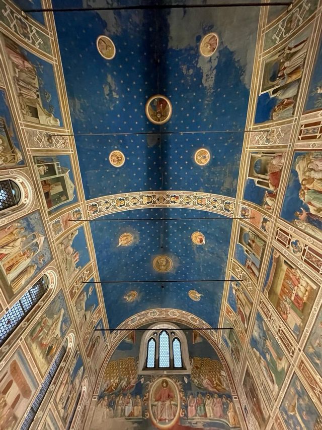 Un soffitto a volta ornato in una cappella, dipinto di blu profondo con stelle dorate, con pareti coperte da affreschi religiosi.