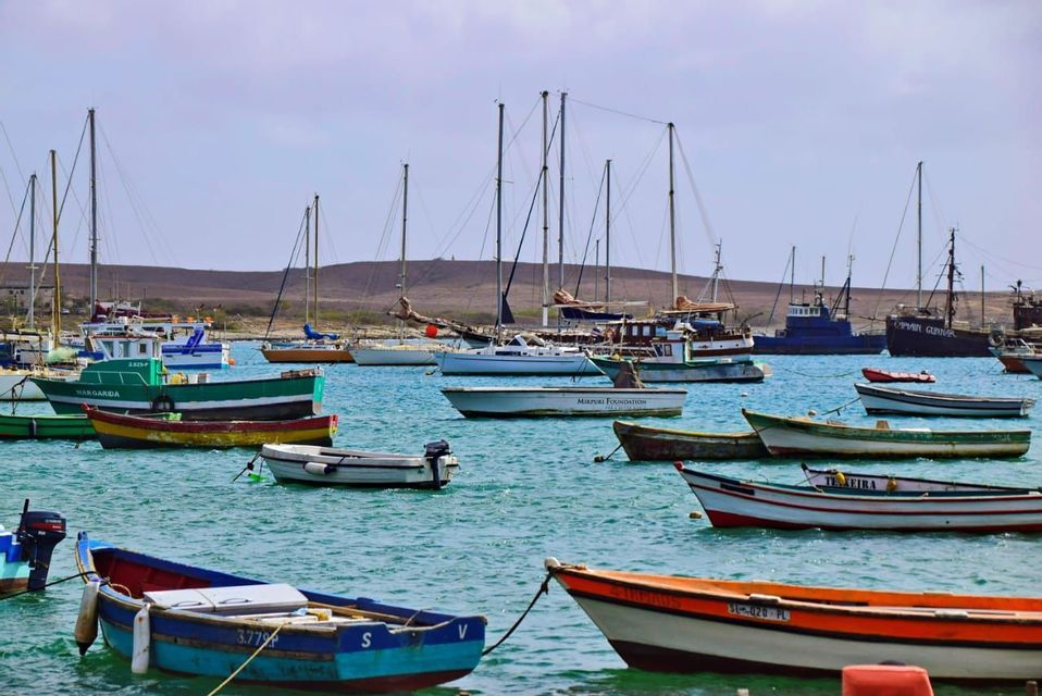 Molte barche e barche a vela colorate sono ormeggiate in un porto calmo con acqua turchese e una costa collinare.