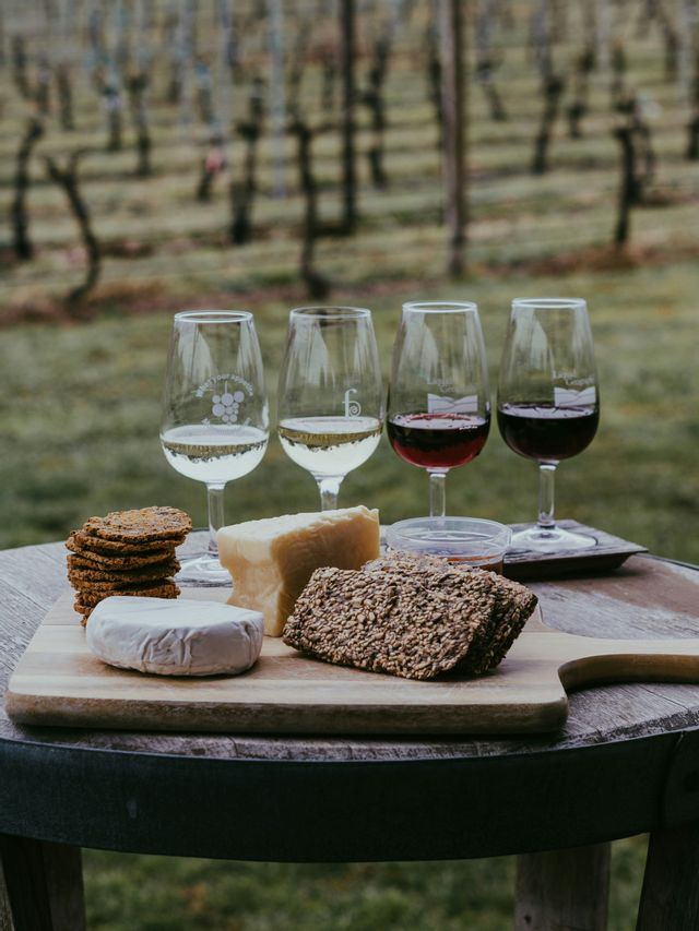 Un tagliere di formaggi con cracker e quattro bicchieri di vino rosso e bianco su un tavolo di legno in un vigneto.