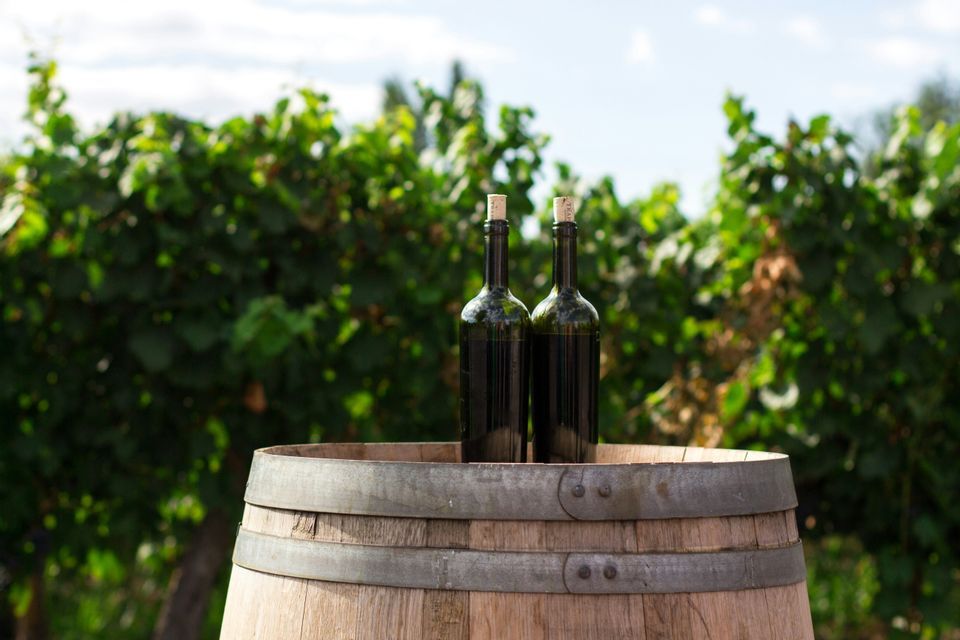 Due bottiglie di vino con tappi di sughero poggiano su una botte di legno in un vigneto sotto un cielo parzialmente nuvoloso.