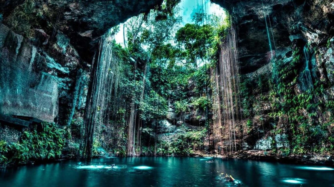 Un grande cenote con un'apertura verso il cielo, caratterizzato da una lussureggiante vegetazione della giungla sulle sue pareti e lunghe viti che pendono fino all'acqua.