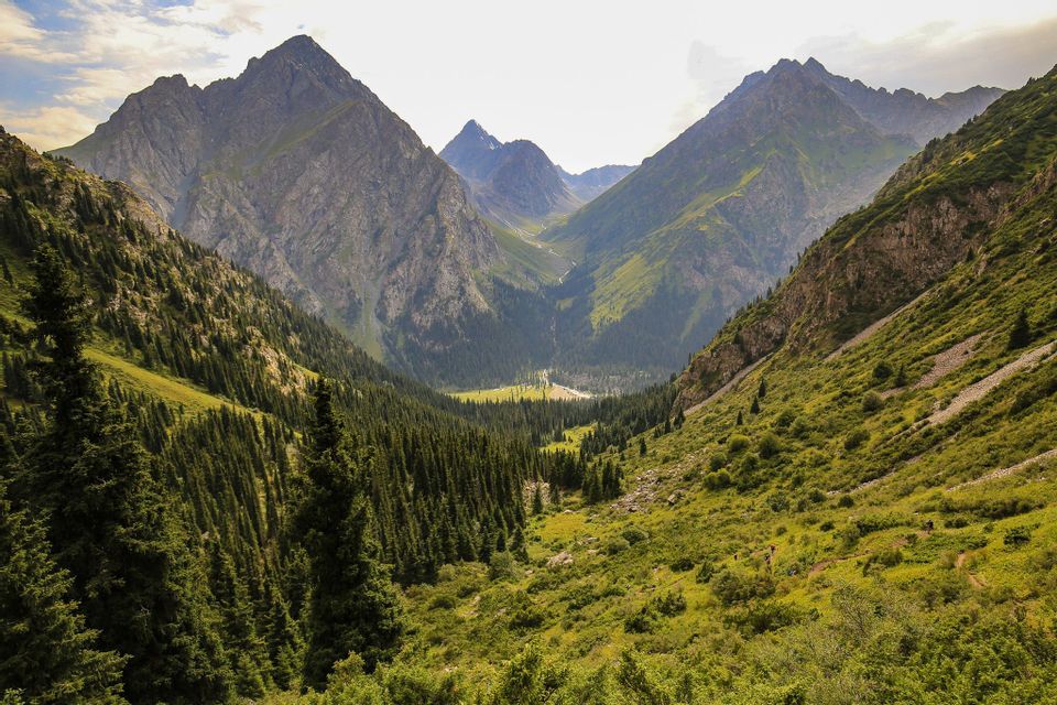 Une vue panoramique sur une vaste vallée verte remplie de forêts de pins denses, nichée entre d'imposantes chaînes de montagnes rocheuses sous un ciel lumineux.