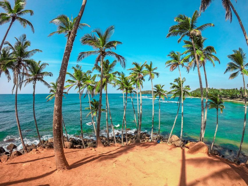 A view from a sandy, orange-colored bluff looking through tall palm trees at a turquoise ocean under a clear blue sky.