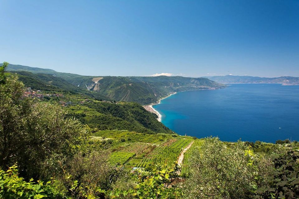 Una veduta dall'alto di una costa verdeggiante con campi terrazzati che degradano verso un mare blu intenso sotto un cielo limpido.