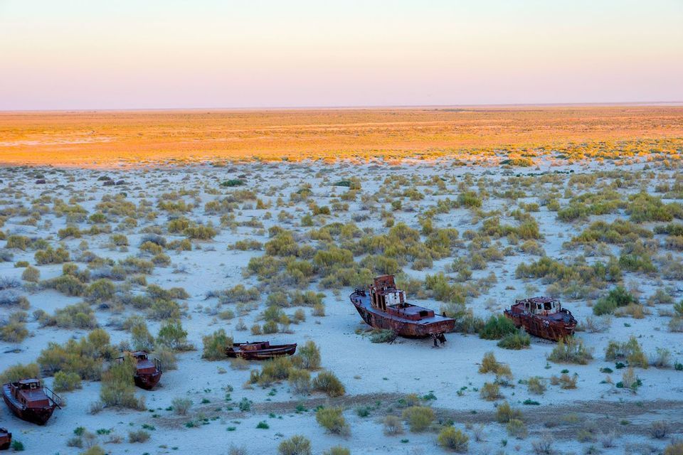 Several rusted shipwrecks sit abandoned on a dry, sandy plain dotted with shrubs under a pastel sky.