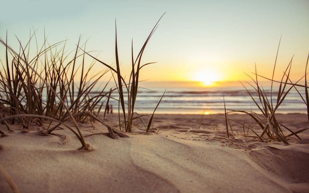 Primo piano di fili d'erba su una duna di sabbia con l'oceano e il sole che tramonta all'orizzonte