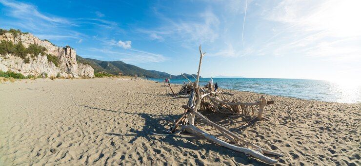 Una struttura di legno alla deriva poggia su un'ampia spiaggia sabbiosa accanto al mare, con una scogliera rocciosa sullo sfondo sotto un cielo azzurro.