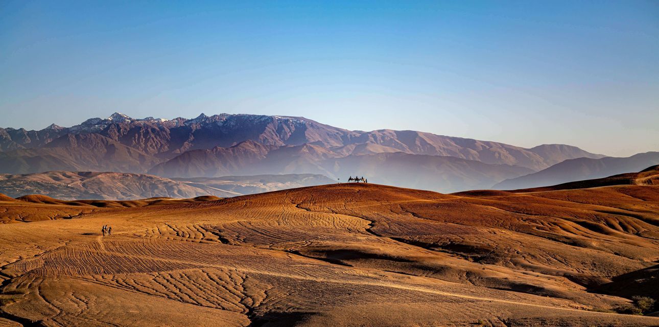 A WeRoad group trip on camels stands atop a red desert hill with snow-capped mountains in the distant background.