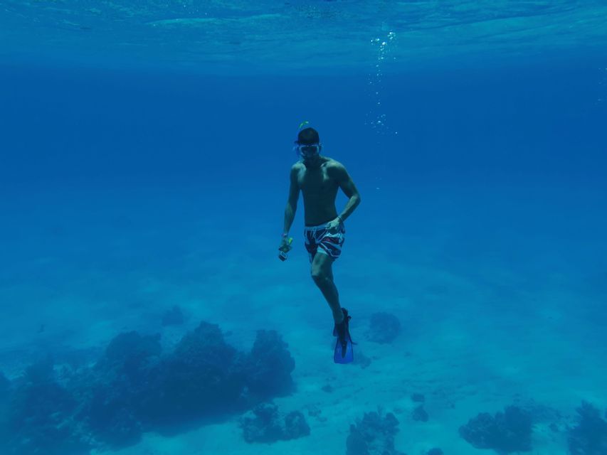 A man wearing a diving mask and flippers is submerged in clear blue water above a sandy seafloor with rocks.