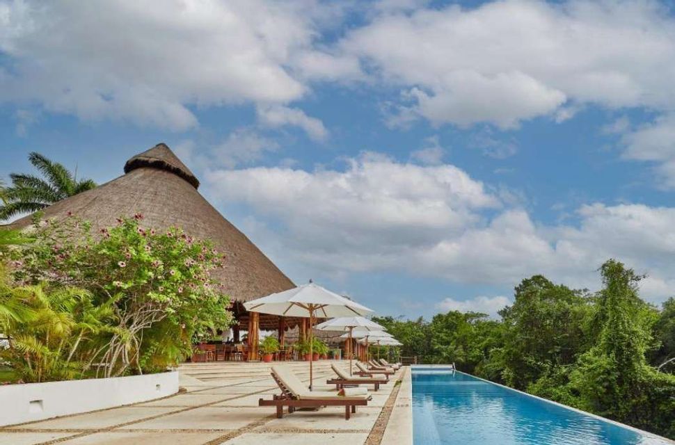Sdraio e ombrelloni a bordo di una piscina a sfioro in un resort con una struttura dal tetto in paglia che si affaccia sulla foresta.