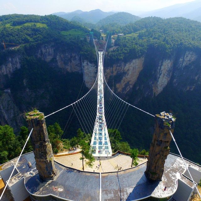 Una vista aerea di un lungo ponte sospeso con fondo di vetro affollato di persone, che attraversa un profondo canyon boscoso.