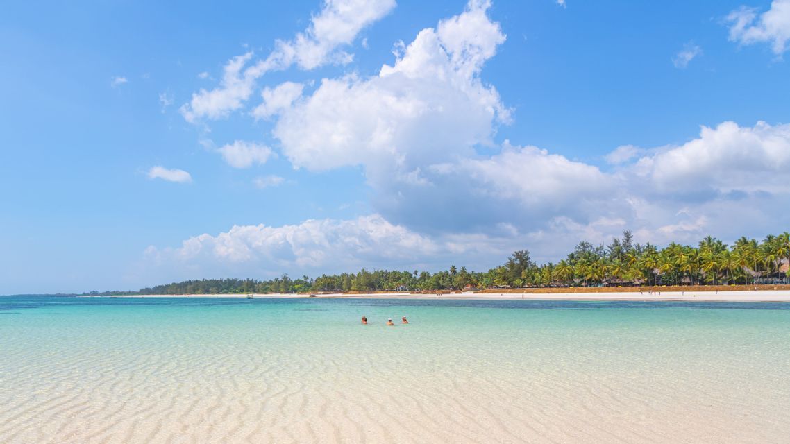 Des membres d'un voyage de groupe WeRoad nagent dans des eaux turquoise peu profondes près d'une plage tropicale bordée de palmiers sous un ciel bleu.
