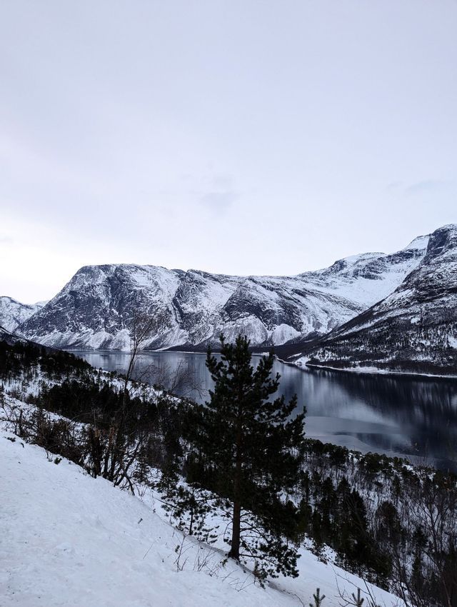 Ein ruhiger See spiegelt schneebedeckte Berge wider, mit einem verschneiten Hang und Kiefern im Vordergrund unter einem blassen Himmel.