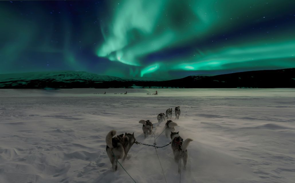 Ein Schlittenhundegespann zieht einen Schlitten durch eine weite, verschneite Landschaft unter den grünen Polarlichtern.