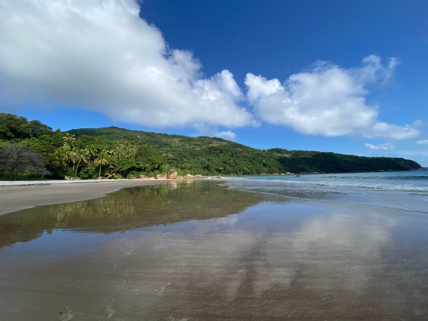 La arena mojada de una playa tropical refleja un cielo azul y nubes, con una exuberante colina verde en la distancia.