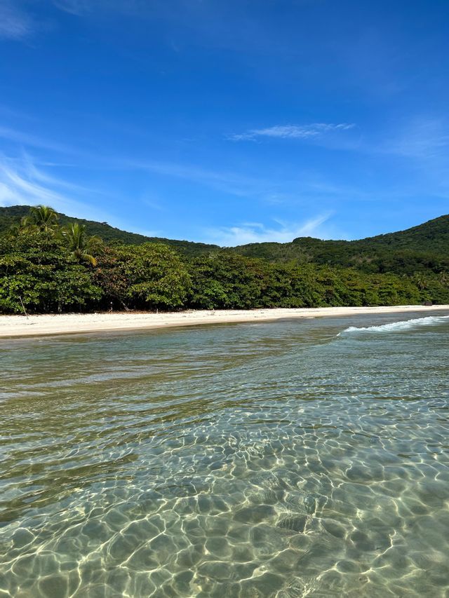 Aguas cristalinas del océano lamen una playa de arena blanca bordeada por un denso bosque verde bajo un cielo azul brillante.