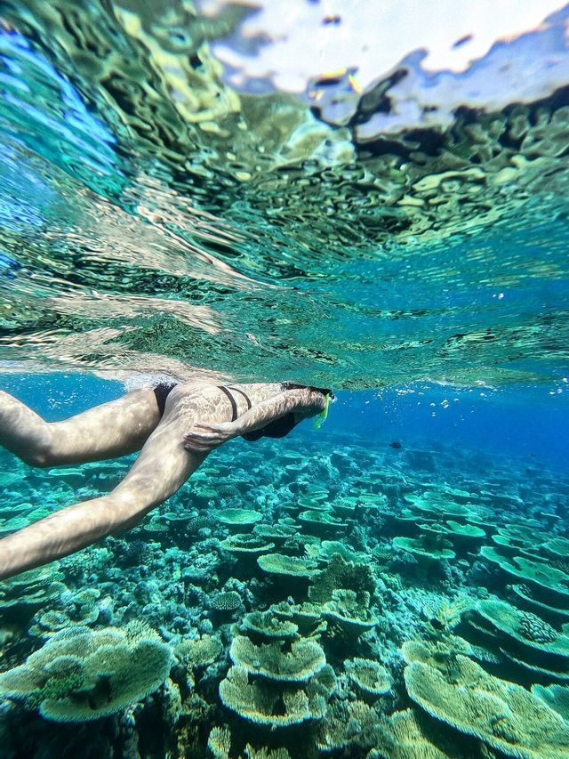 Una vista subacquea di una persona che fa snorkeling sopra una grande barriera corallina in acqua cristallina turchese.