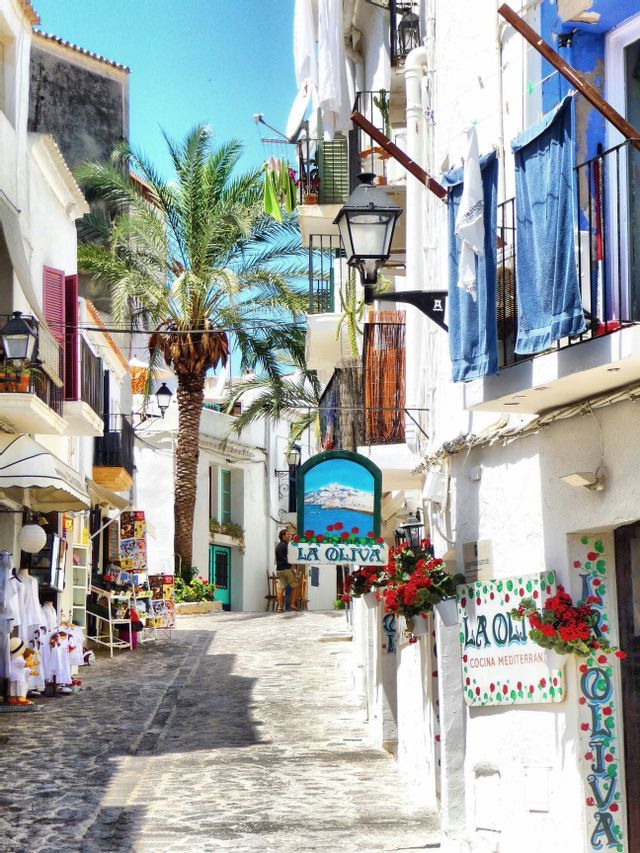 Una calle estrecha empedrada con edificios encalados, una alta palmera, tiendas y letreros de restaurantes bajo un cielo azul.