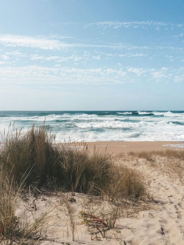 Erba alta su una duna di sabbia si affaccia sulle onde dell'oceano che si infrangono su una spiaggia sotto un cielo blu con nuvole.