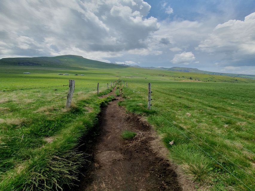 Un chemin de terre étroit longe une clôture à travers des collines verdoyantes sous un ciel nuageux.
