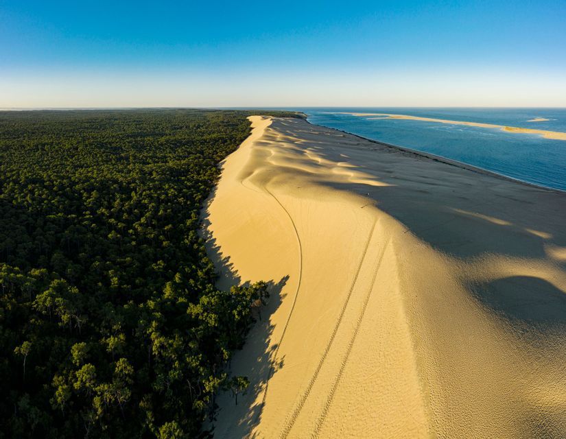 Vue aérienne d'une grande dune de sable longeant une forêt verte dense et l'océan sous un ciel bleu clair.