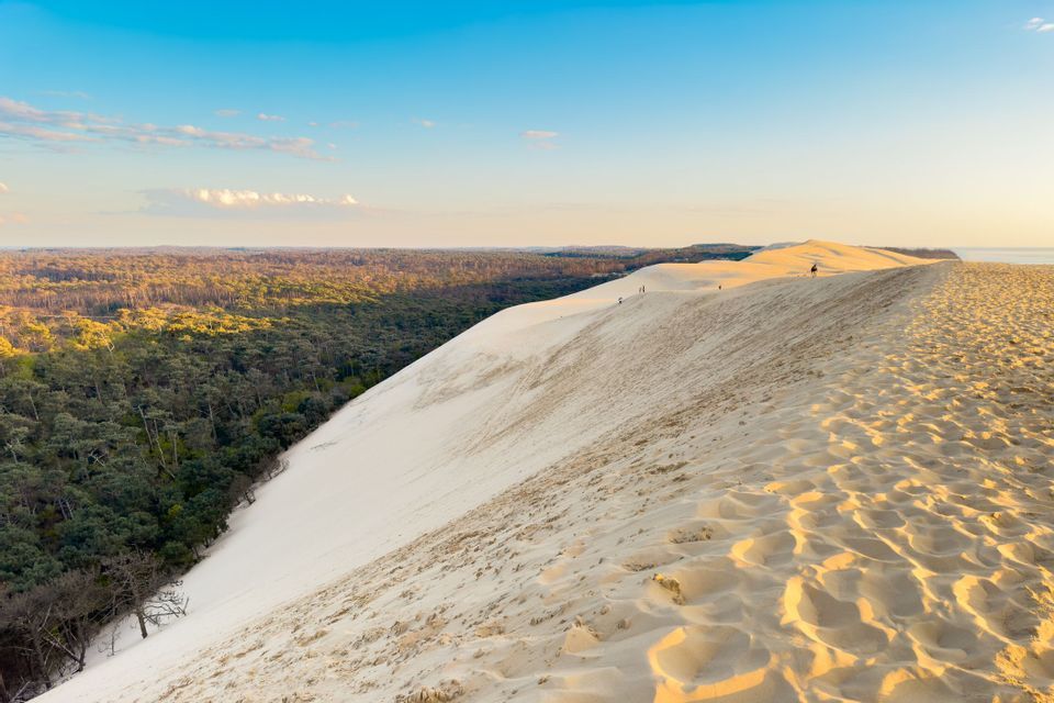 Une vaste dune de sable blanc s'incline abruptement le long d'une dense forêt verte sous un ciel bleu clair au coucher du soleil.