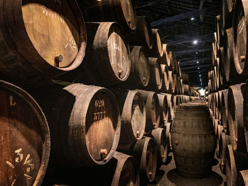 File di grandi botti di legno impilate in una lunga cantina poco illuminata.