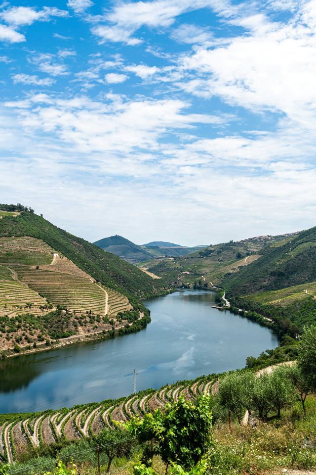 Un ampio fiume scorre attraverso una valle circondata da ripide colline verdi con vigneti a terrazze sotto un cielo azzurro nuvoloso.