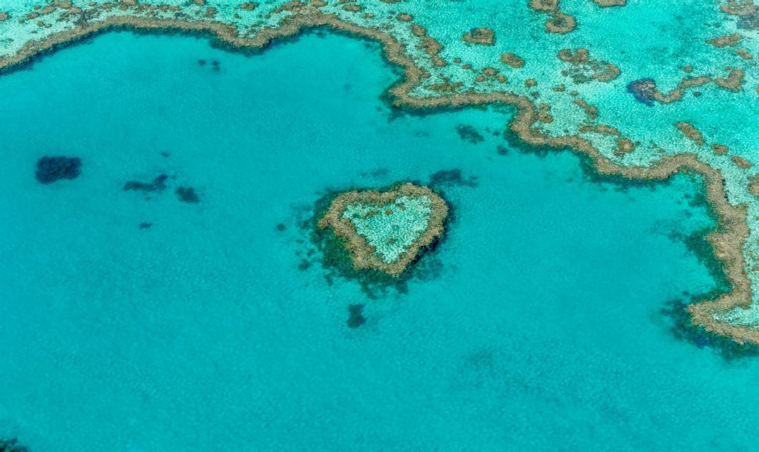 Coral gardens on the outer reef Coral gardens of the outer Great Barrier Reef from above, dark reef shapes scattered across bright turquoise shallows.