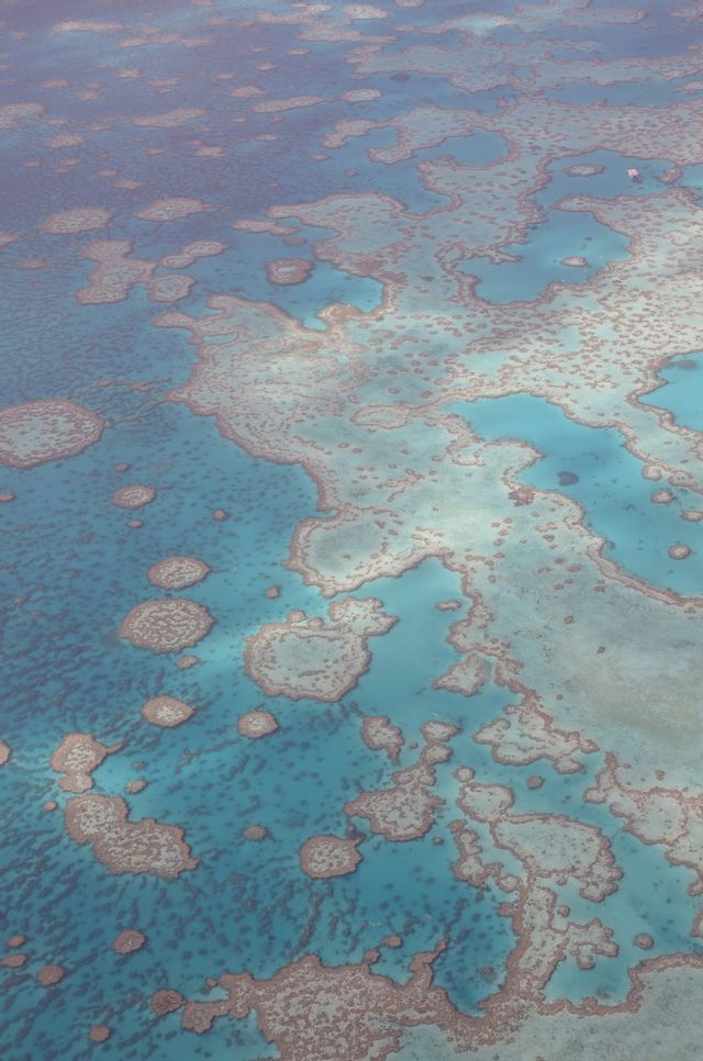 The Great Barrier Reef from the air Coral formations of the Great Barrier Reef seen from above, pale rings set in clear turquoise water.