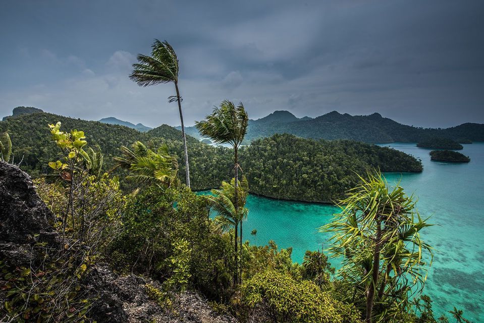 Las palmeras se mecen con el viento en un promontorio rocoso con vistas a una bahía turquesa rodeada de exuberantes islas boscosas bajo un cielo nublado.