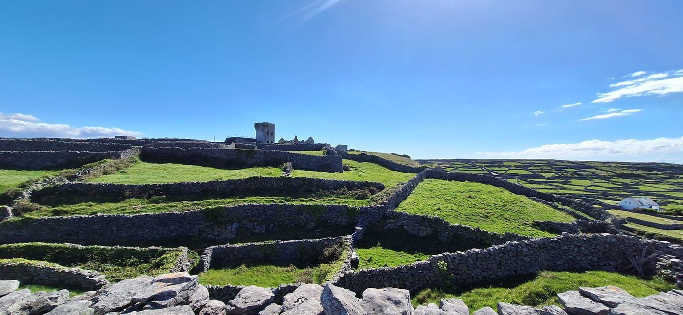 Un vasto paesaggio di dolci colline verdi divise da numerosi muretti a secco, con le rovine di una torre in pietra su una collina sotto un cielo azzurro chiaro.