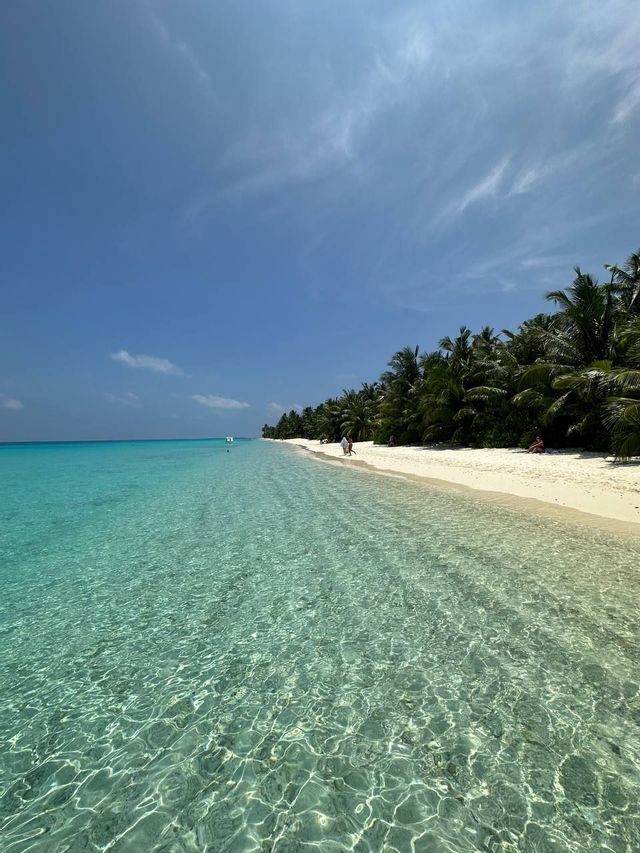 Acqua cristallina turchese lambisce una spiaggia di sabbia bianca fiancheggiata da palme verdi sotto un cielo azzurro brillante con nuvole sottili.