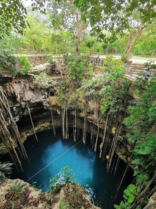 A high-angle view looking down into a jungle cenote with deep blue water, as long vines hang from the rocky cliffs.