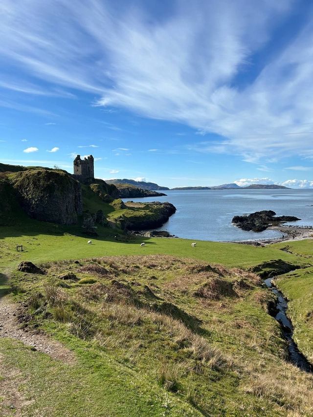 Stone castle ruins sit on a grassy cliff overlooking a coastal bay, with sheep grazing in a green pasture below.