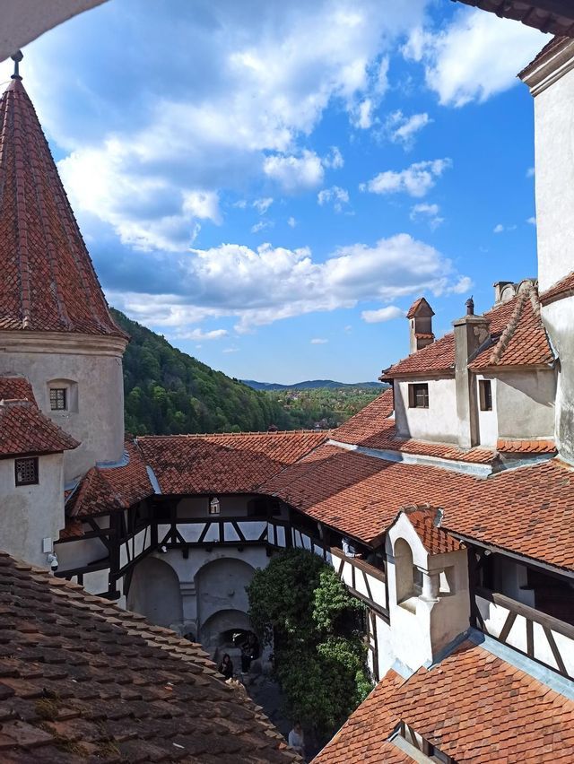 A high-angle view of a medieval castle's courtyard, featuring red tiled roofs, white walls, and a distant forested hill under a blue sky.